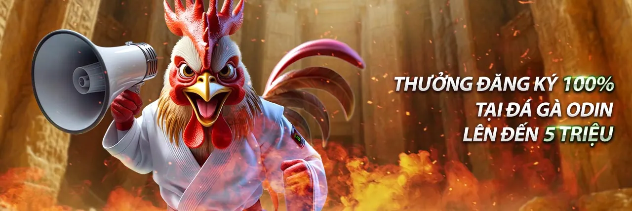 Hình ảnh sân đấu đá gà Thomo trực tiếp đầy kịch tính với khán giả và cược thủ